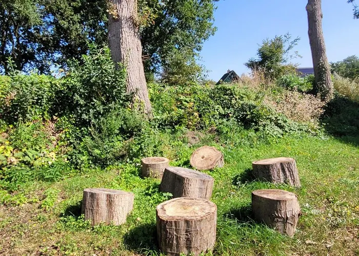 Chalet Bonte Schaap Elspeet