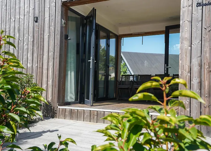 Bonte Schaap * Elspeet