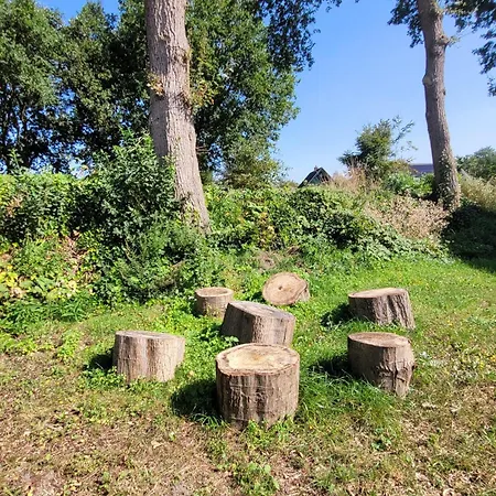 Alpehytte Bonte Schaap Elspeet